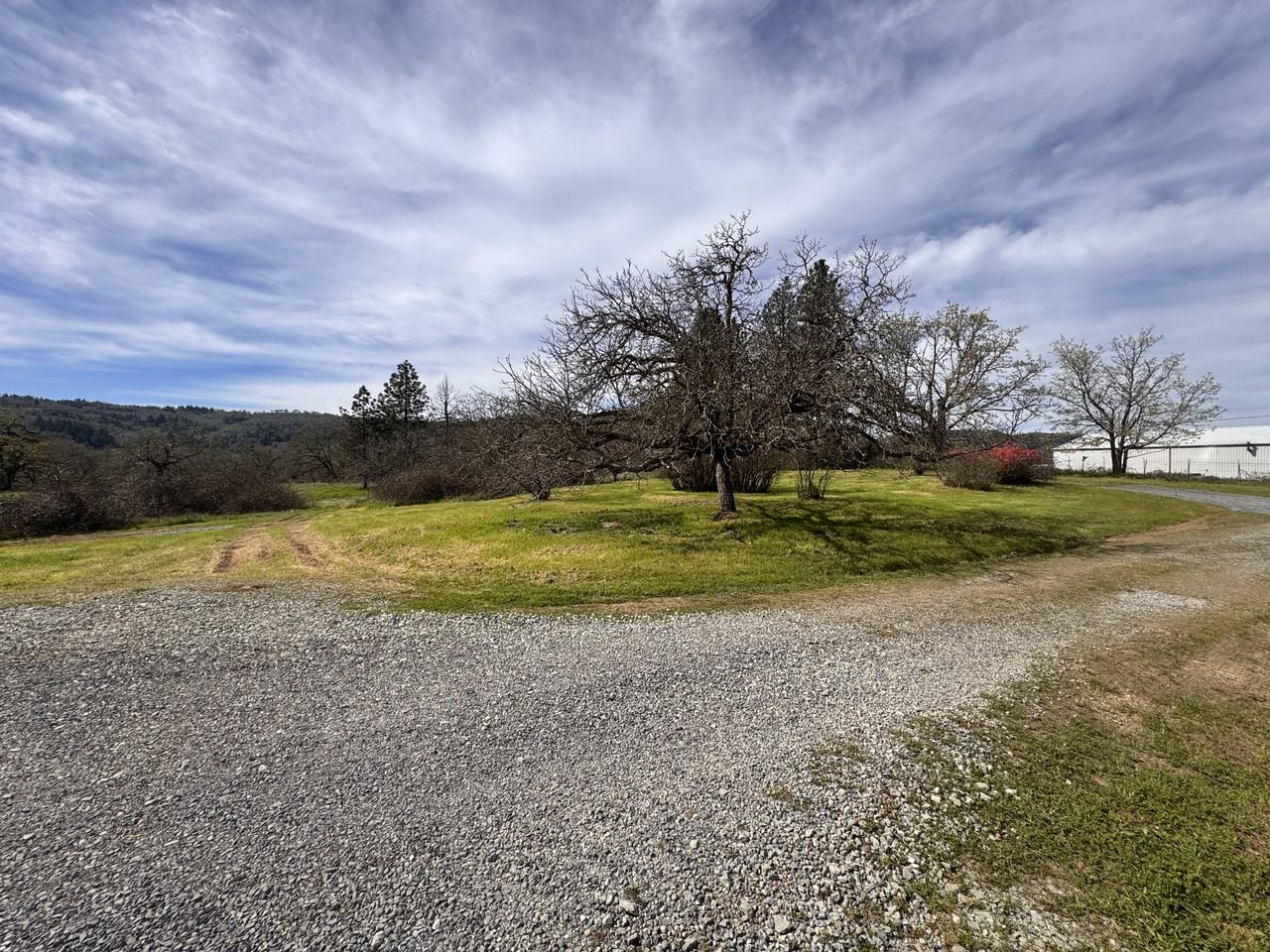 6452 Dole Rd #1 - Photo 7 of 7