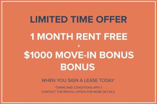 Nell’s Place - Photo 1 of 1