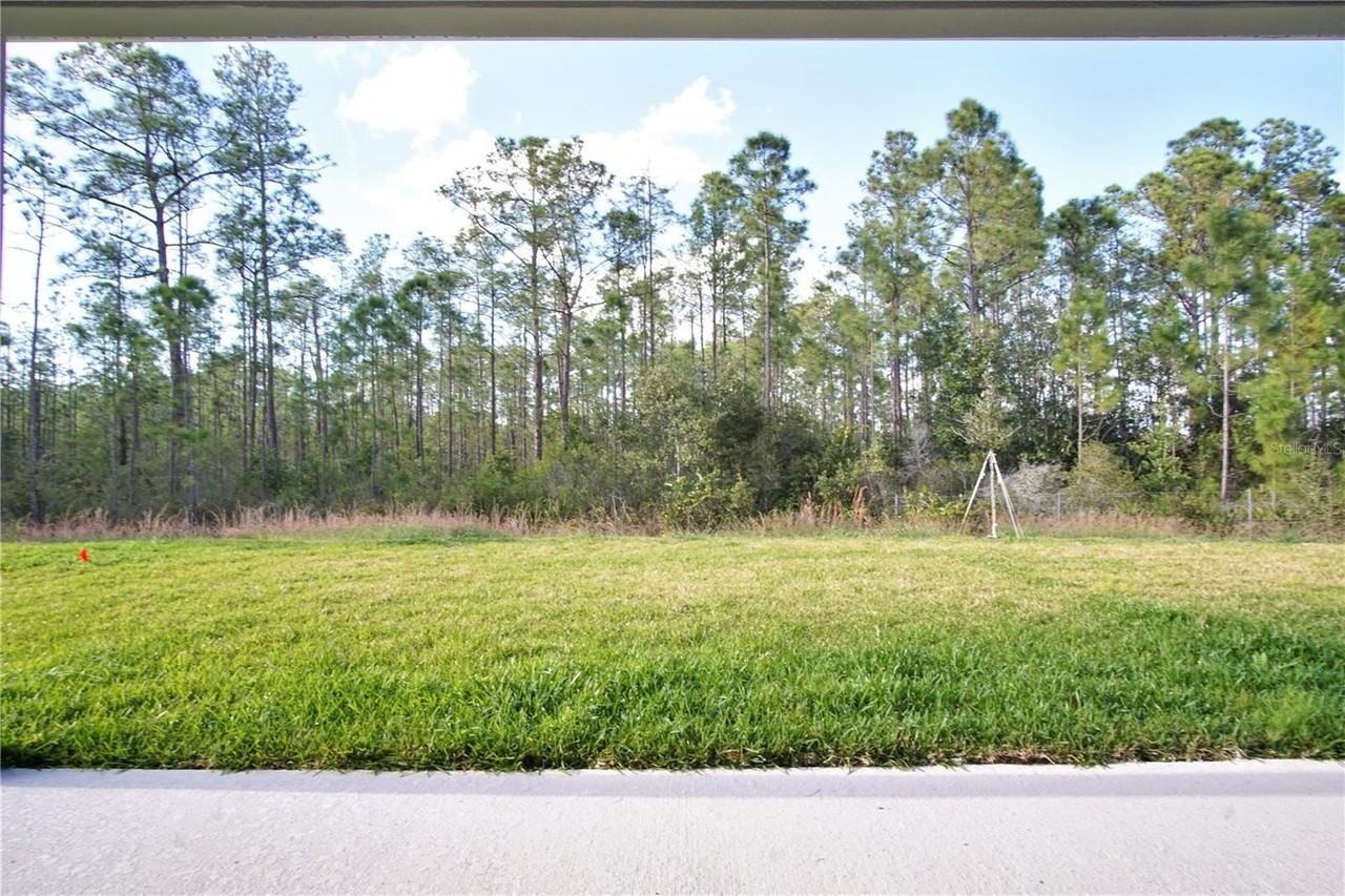 1419 Eucalyptus Way - Photo 7 of 46