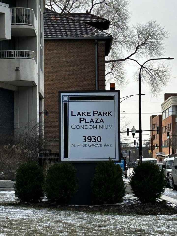 3930 N Pine Grove Ave Apt 408 - Photo 2 of 5