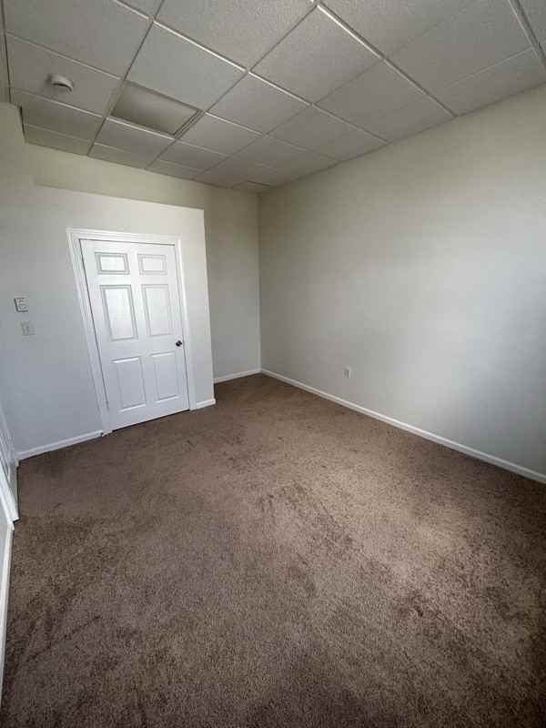 667 Green St #4 - Photo 3 of 9