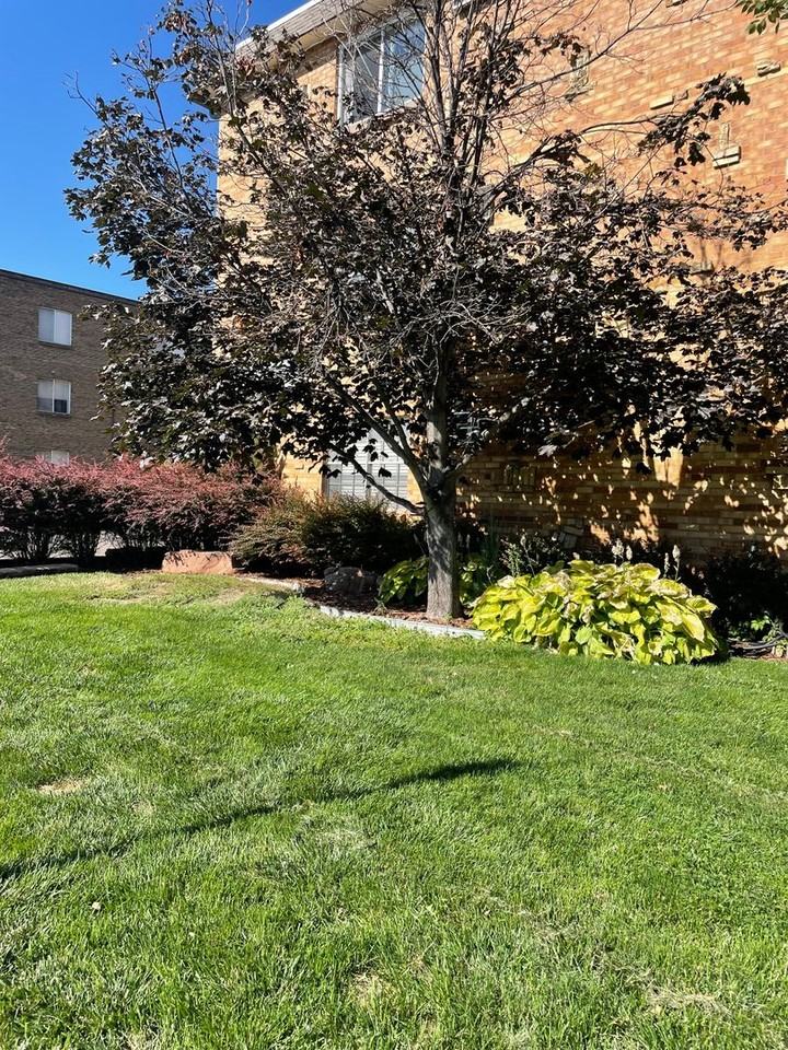 Swedish Plaza - Photo 2 of 25