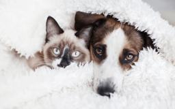 3657 Cathedral Cove Rd - Photo 1 of 1