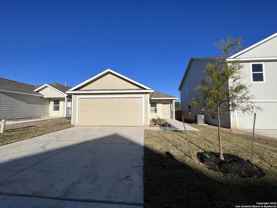 10542 Nye Pass - Photo 1 of 1