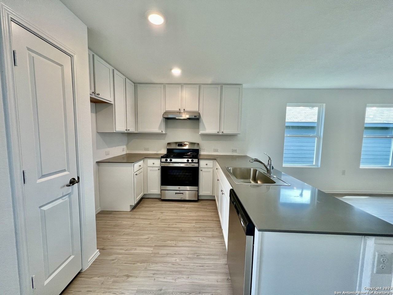 10542 Nye Pass - Photo 6 of 22