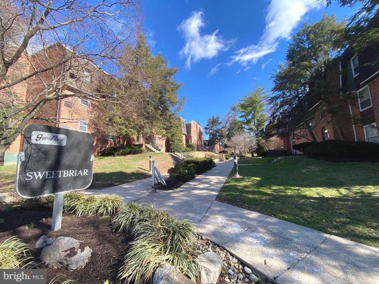 4000 Gypsy Ln Unit 520 - Photo 5 of 18