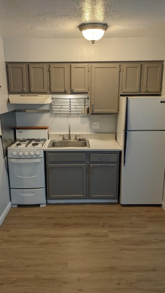 2306 Garfield Ave Se #28 - Photo 5 of 16