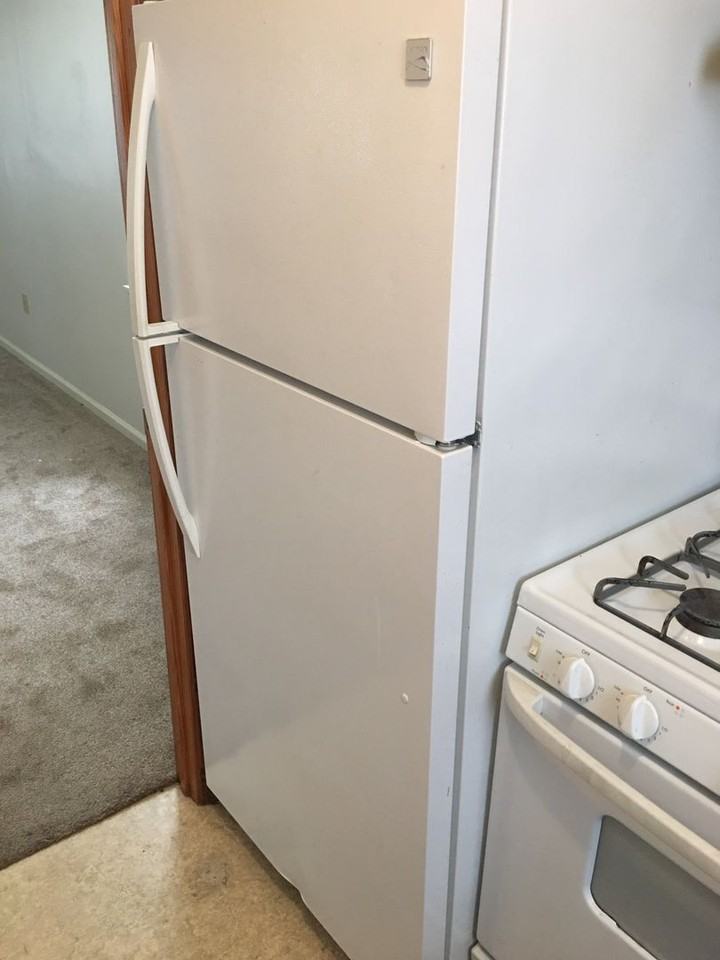 634 N Van Buren St - Photo 7 of 17