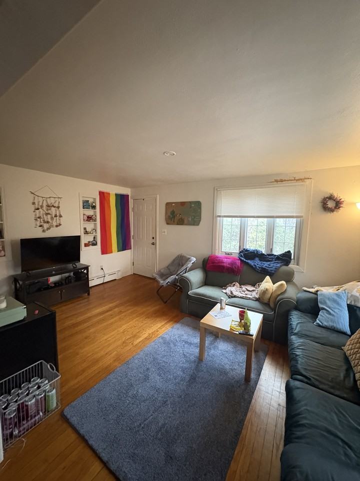 525 E Pleasant St #1 - Photo 2 of 12