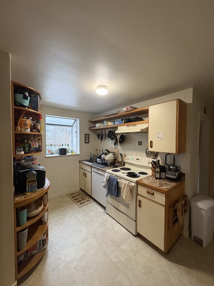 525 E Pleasant St #1 - Photo 4 of 12