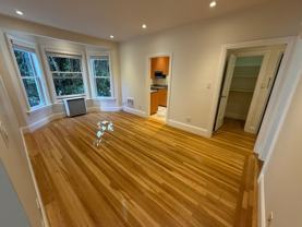 Jackson - Photo 1 of 1