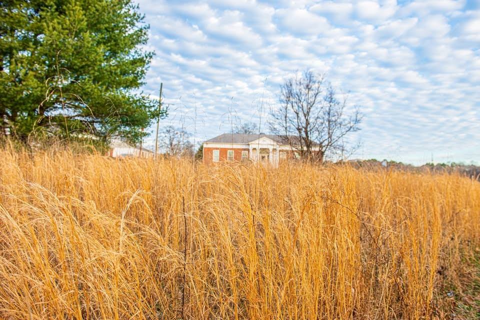 Halo - Photo 2 of 23