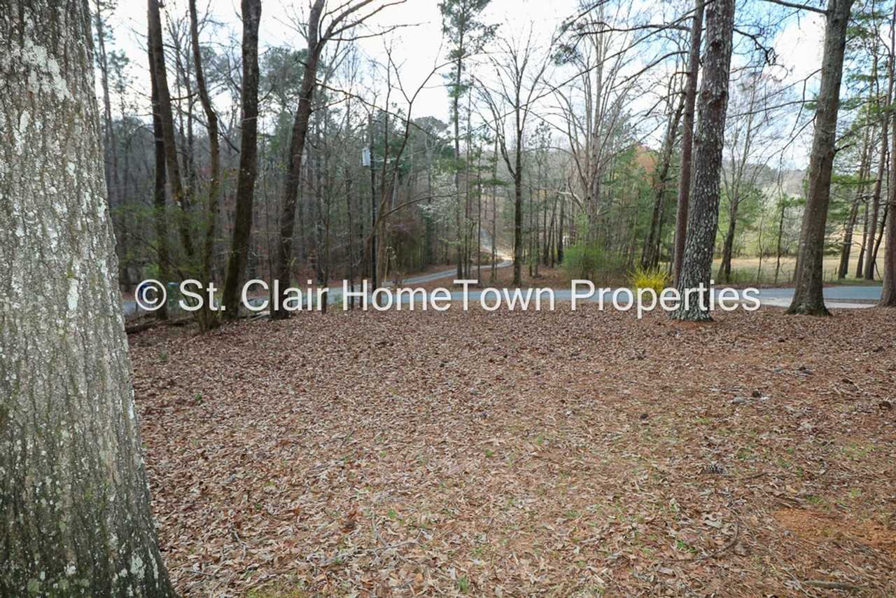 480 Rockridge Rd - Photo 4 of 35