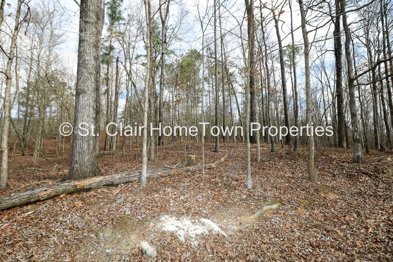 480 Rockridge Rd - Photo 5 of 35