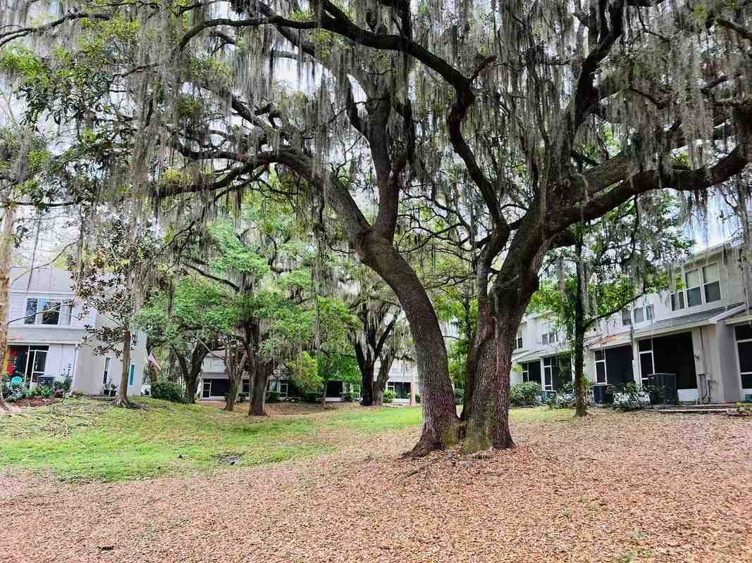 914 Vineland Pl - Photo 6 of 20