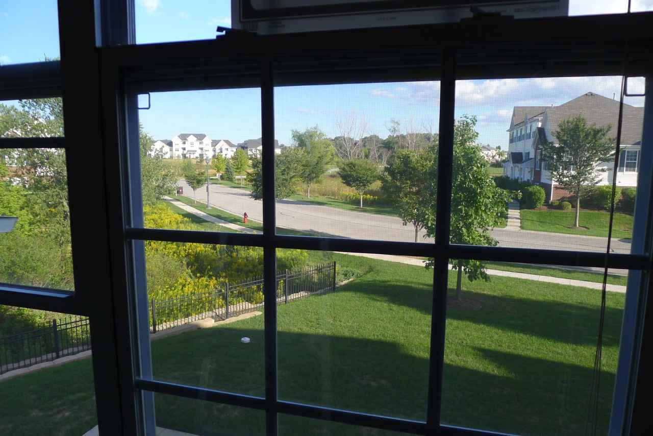 1729 W Turtle Creek Ln #1729 - Photo 7 of 9