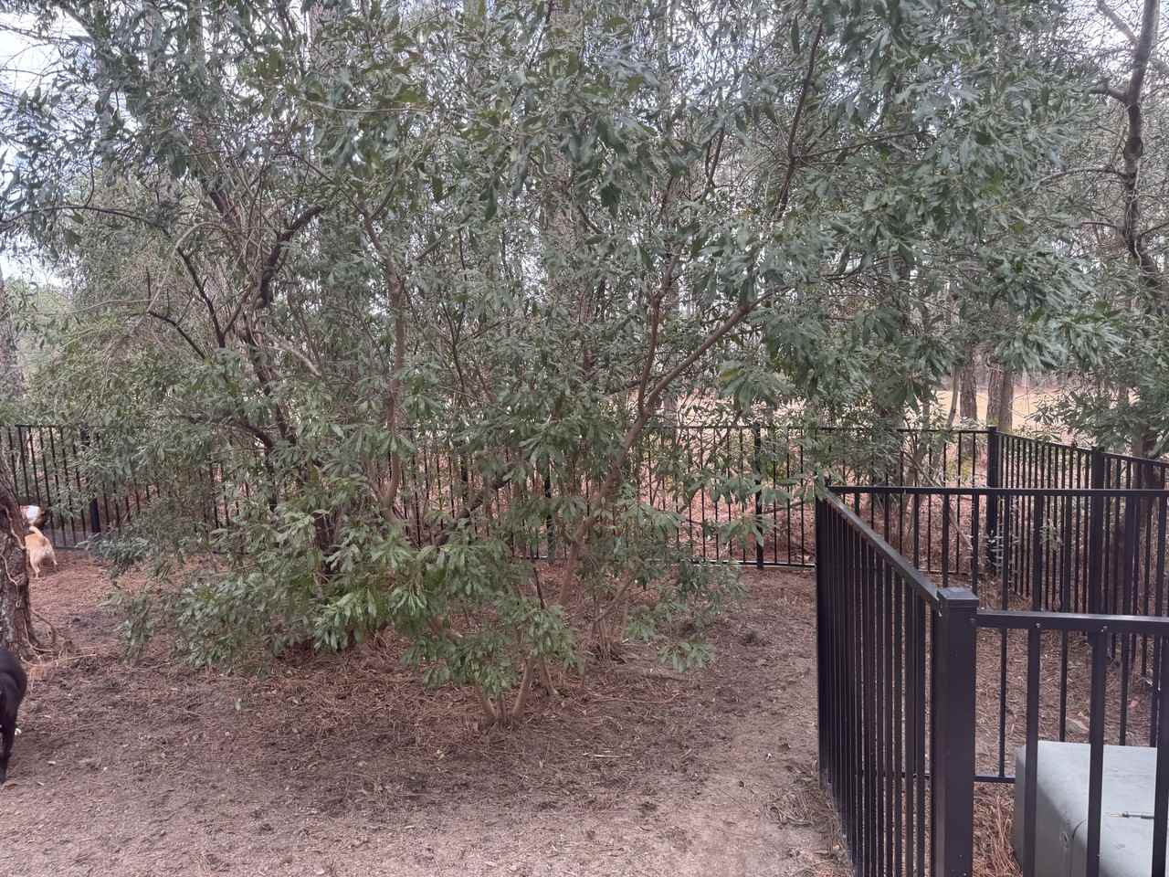 79 Falconridge Dr #NA - Photo 2 of 19