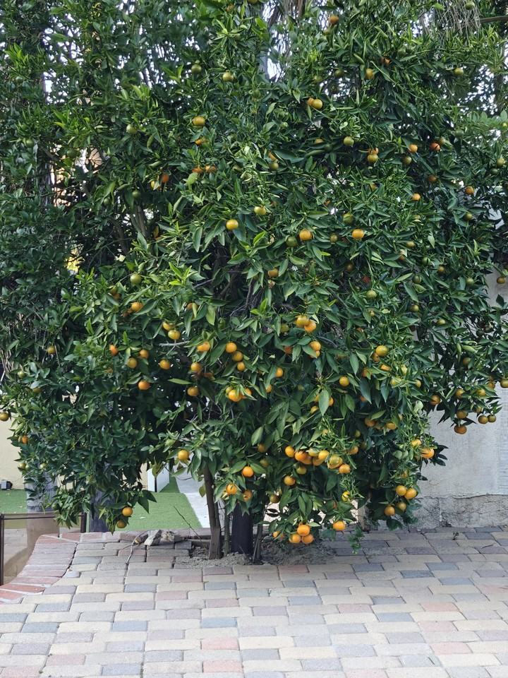 20934 De Mina St #NA - Photo 7 of 19