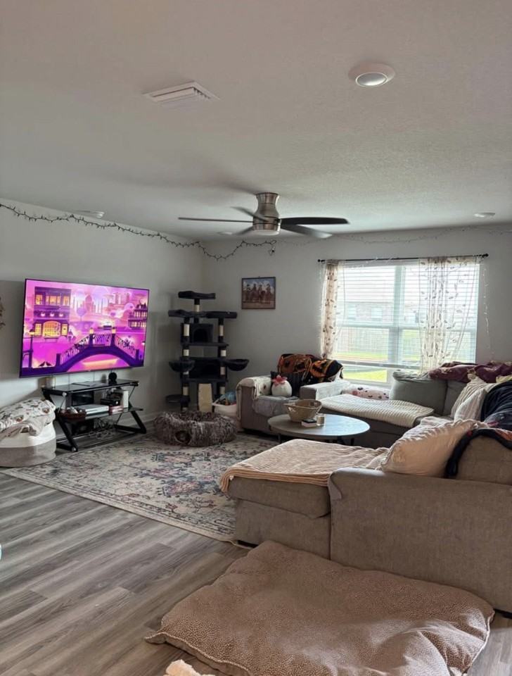 23818 Avernus Loop #NA - Photo 4 of 7