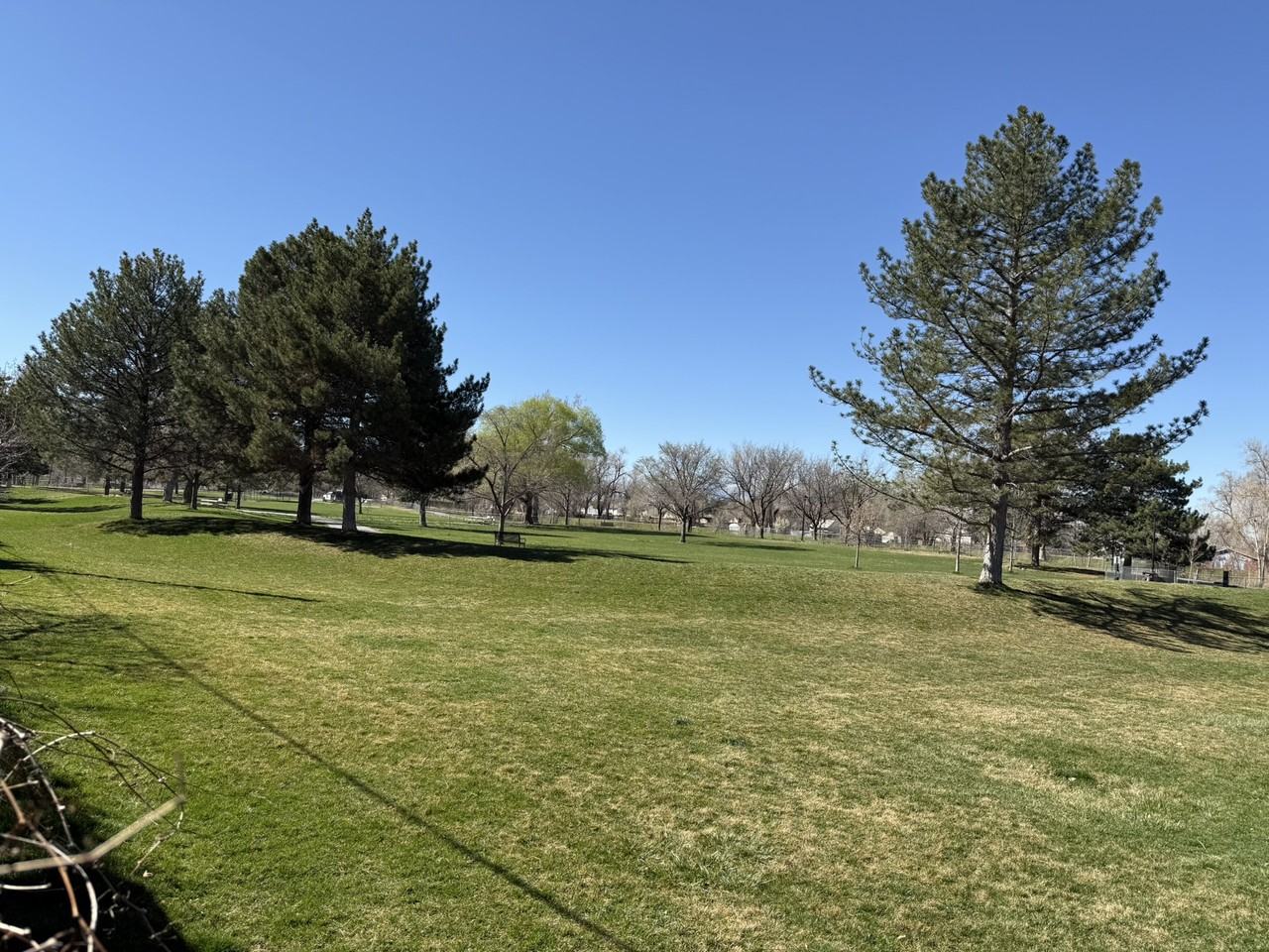 451 N Montgomery St #1 - Photo 4 of 23