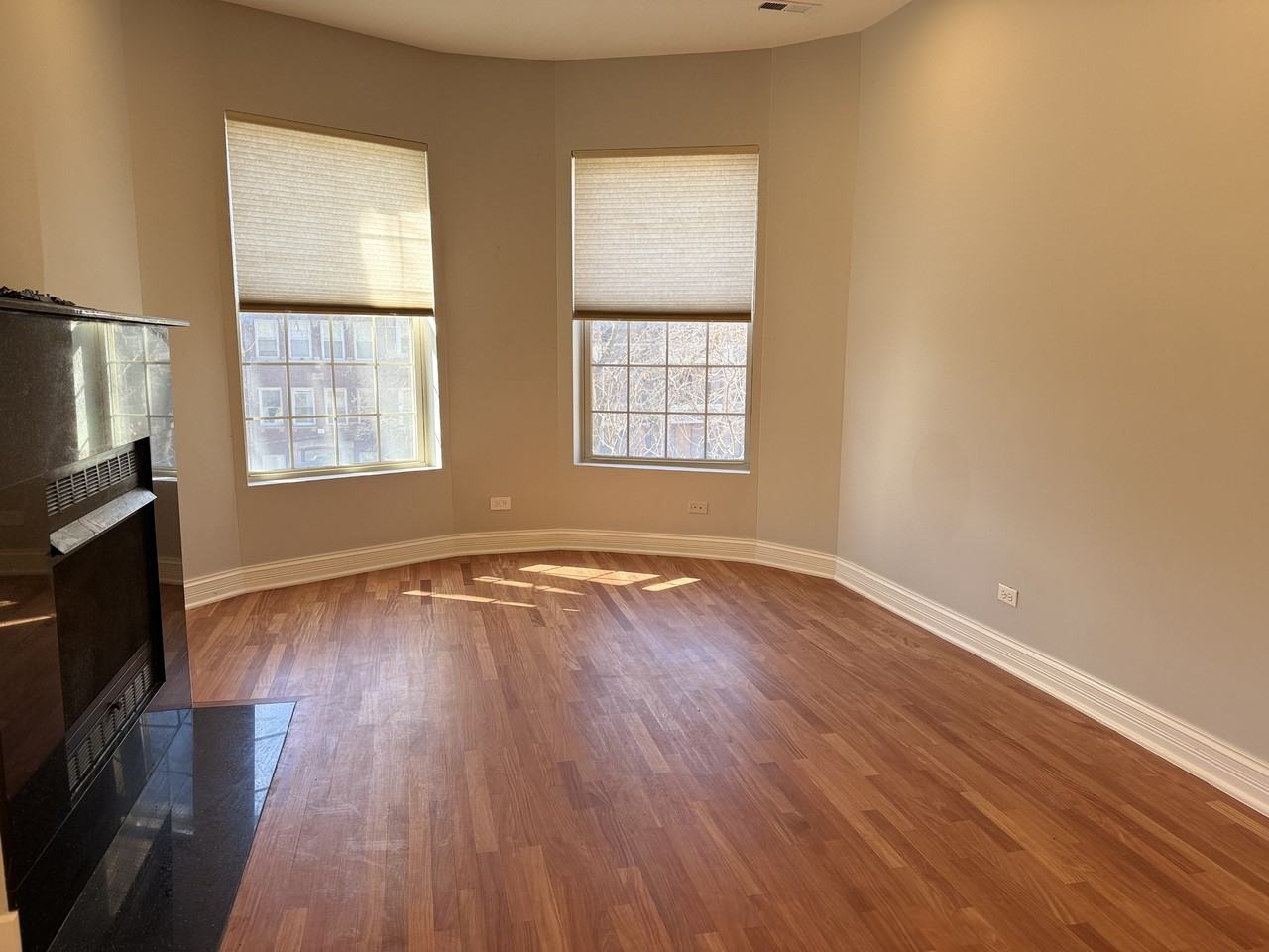 5025 S Michigan Ave #3S - Photo 4 of 19