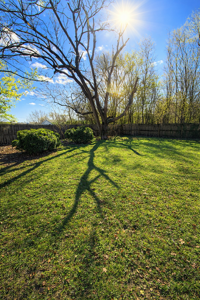 311 Morris St #1 - Photo 2 of 11
