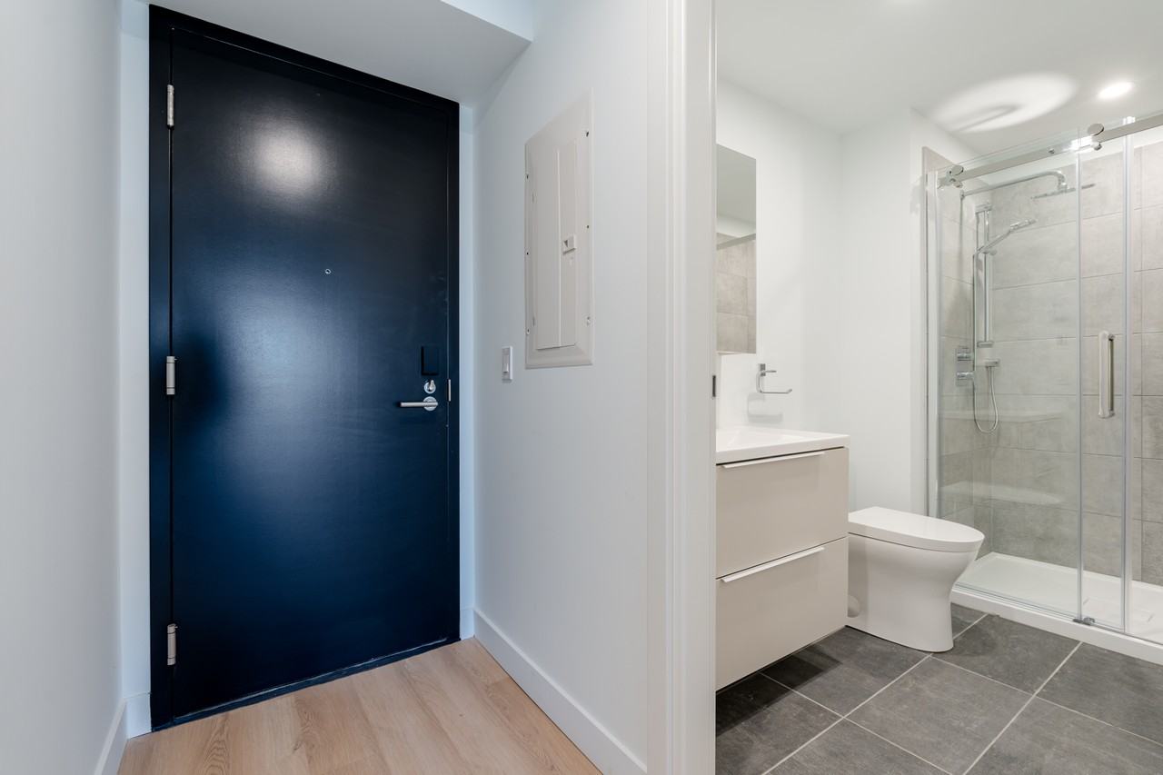 1001 Rue Lucien-L'Allier #228 - Photo 4 of 27