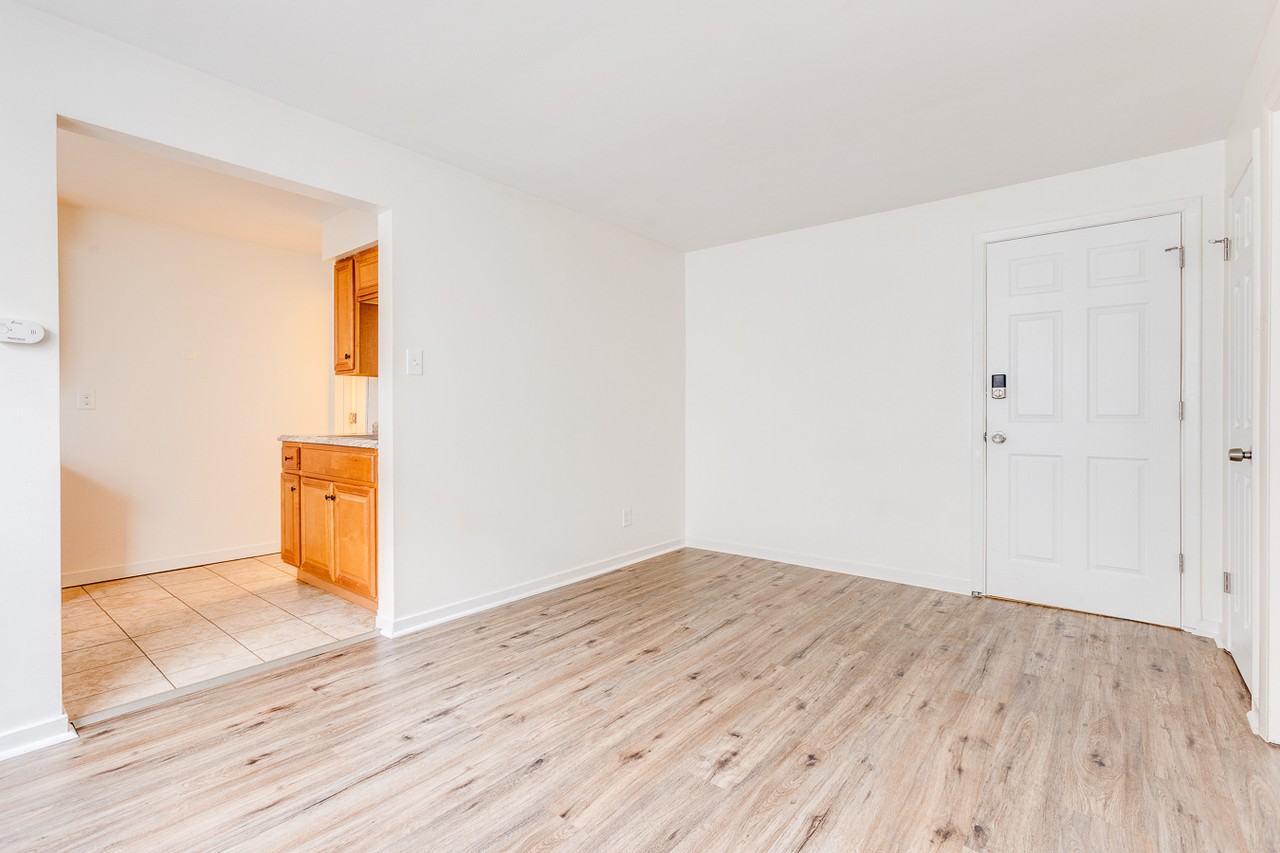 525 Washington Ave #3 - Photo 4 of 18