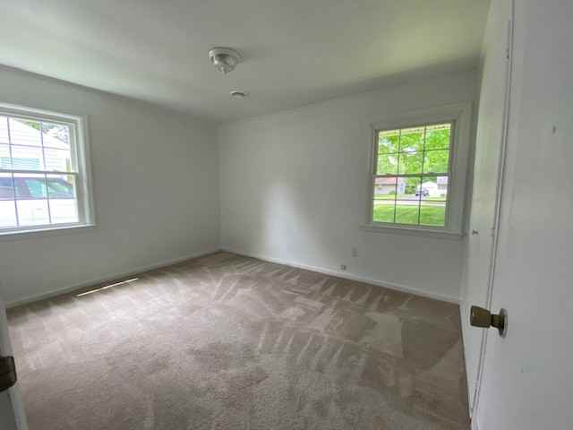 355 Erskine Ave #1 - Photo 7 of 12