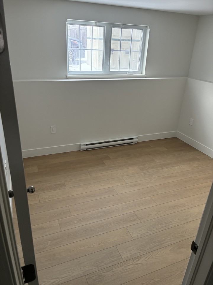 348 Lutz St #3 - Photo 5 of 8