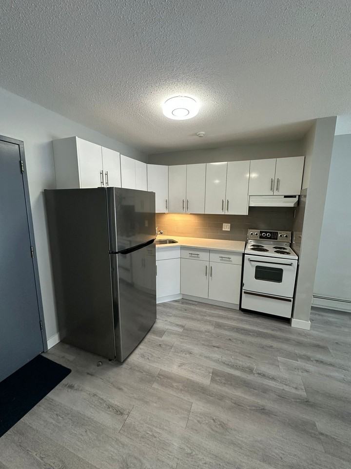 13516 - 13516 102 St #101