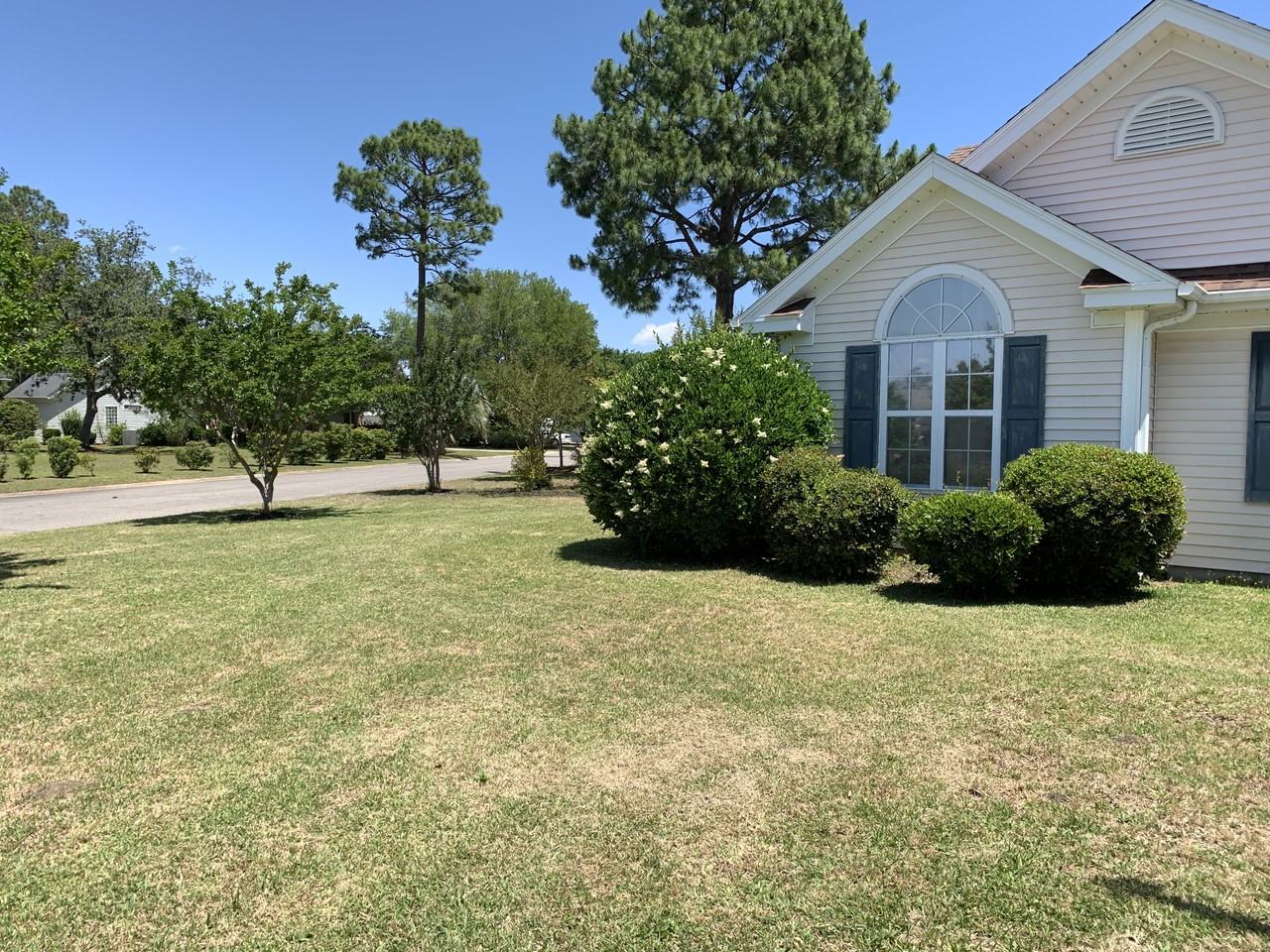 576 Wildflower Trl #1 - Photo 7 of 19