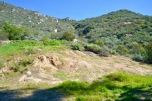 976 Deer Springs Rd #1 - Photo 1 of 1