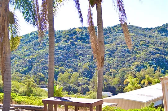 976 Deer Springs Rd #1 - Photo 3 of 8