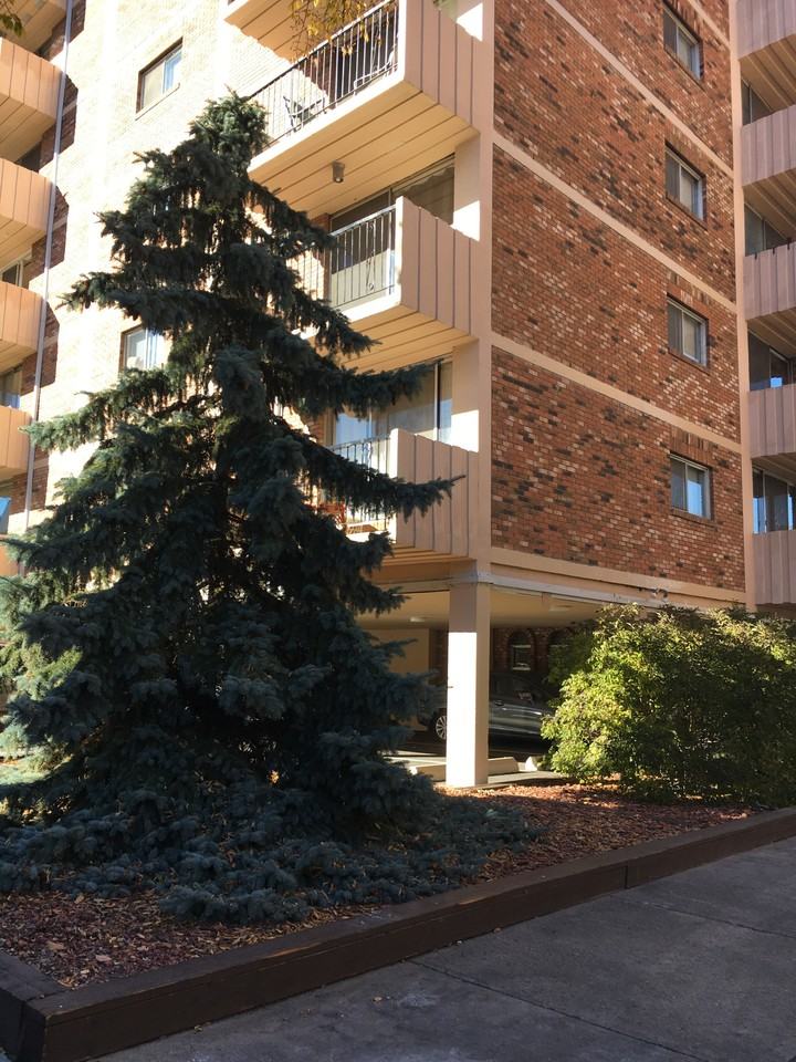 Open, Spacious 2 Bedroom Corner in the Beltline - ALL Utilities Included - Cats & Small Dogs Welcome - Photo 6 of 10