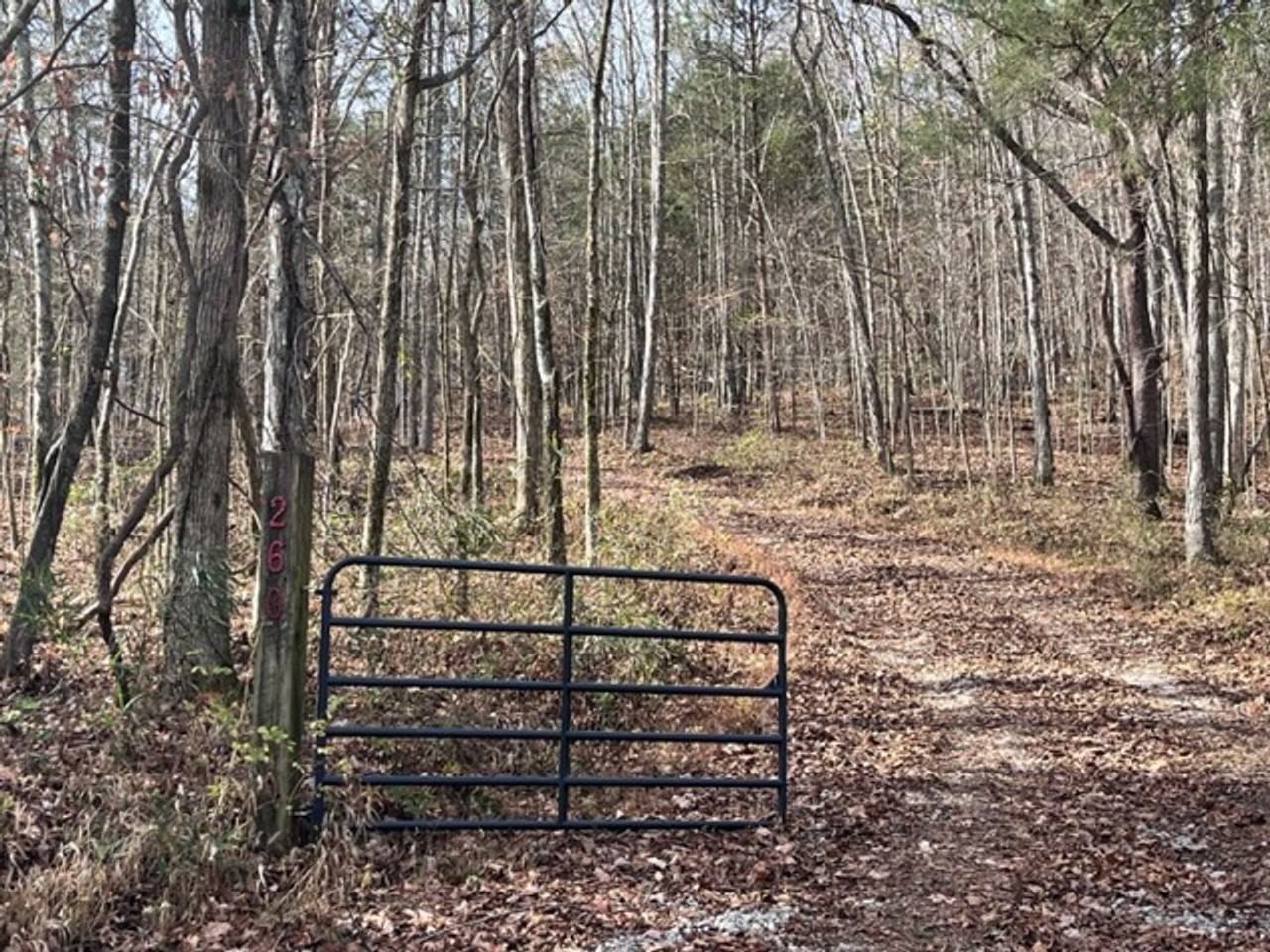 260 Gravel Hill Rd - Photo 3 of 16