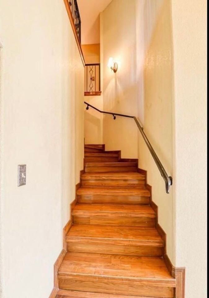 12716 Tierra Aurora Dr - Photo 7 of 16