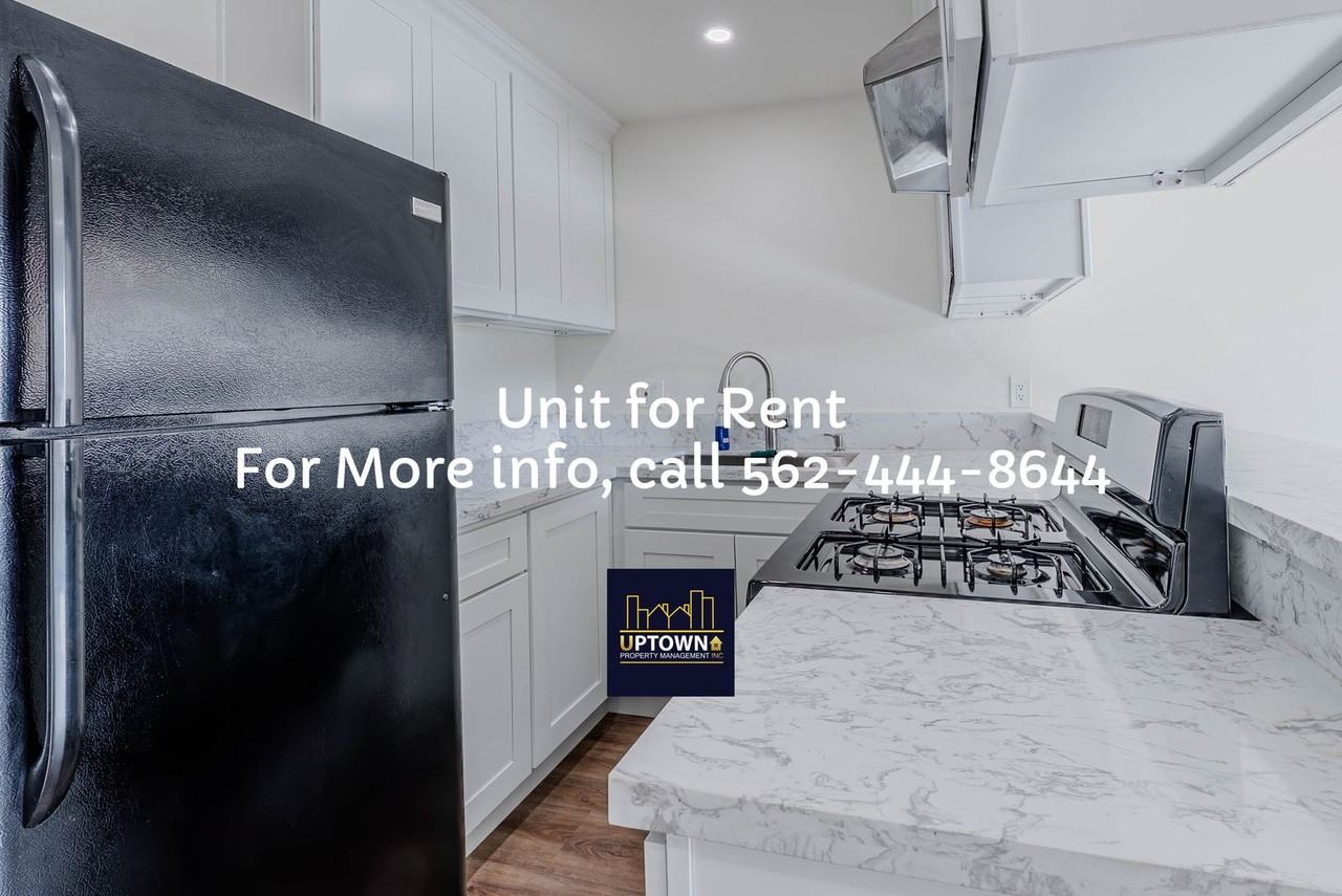 Breed - Photo 3 of 27