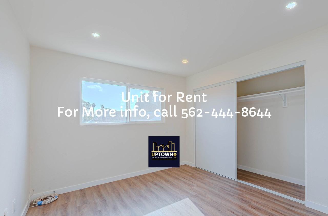 Breed - Photo 4 of 27