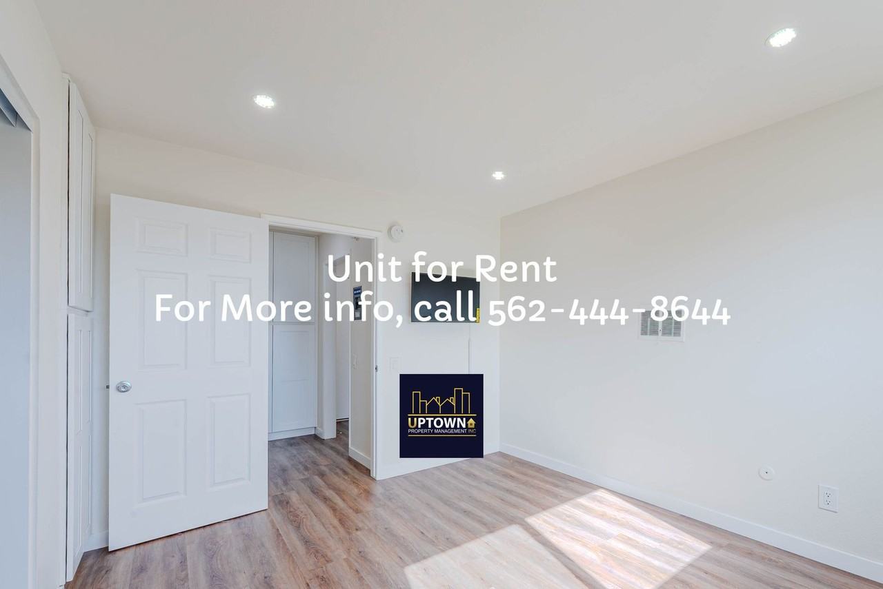 Breed - Photo 5 of 27