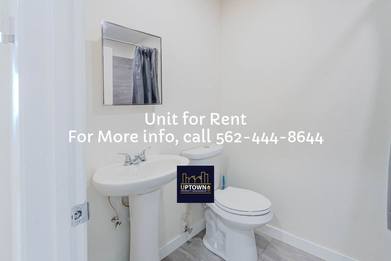 Breed - Photo 6 of 27