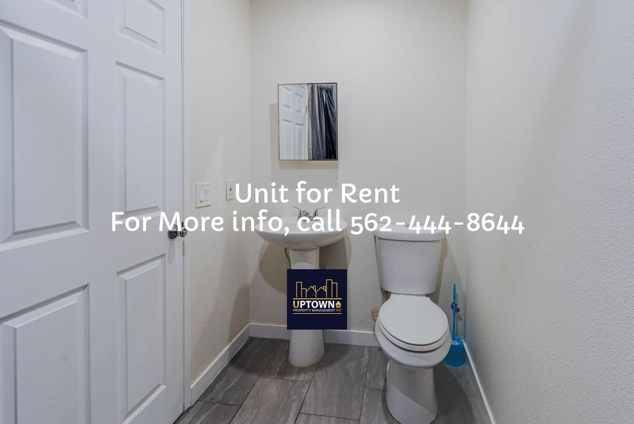 Breed - Photo 7 of 27