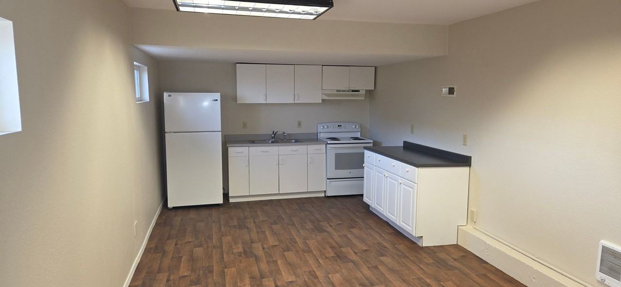 3705 N Chestnut St Lowr - Photo 5 of 14