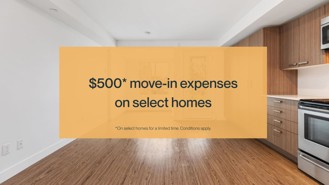 Camellia - Photo 1 of 1