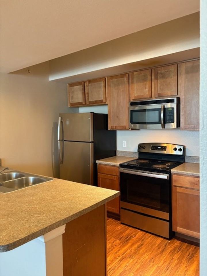 4100 W Illinois Ave Apt B306 #B306 - Photo 5 of 21