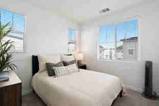 Vinifera - Photo 1 of 1