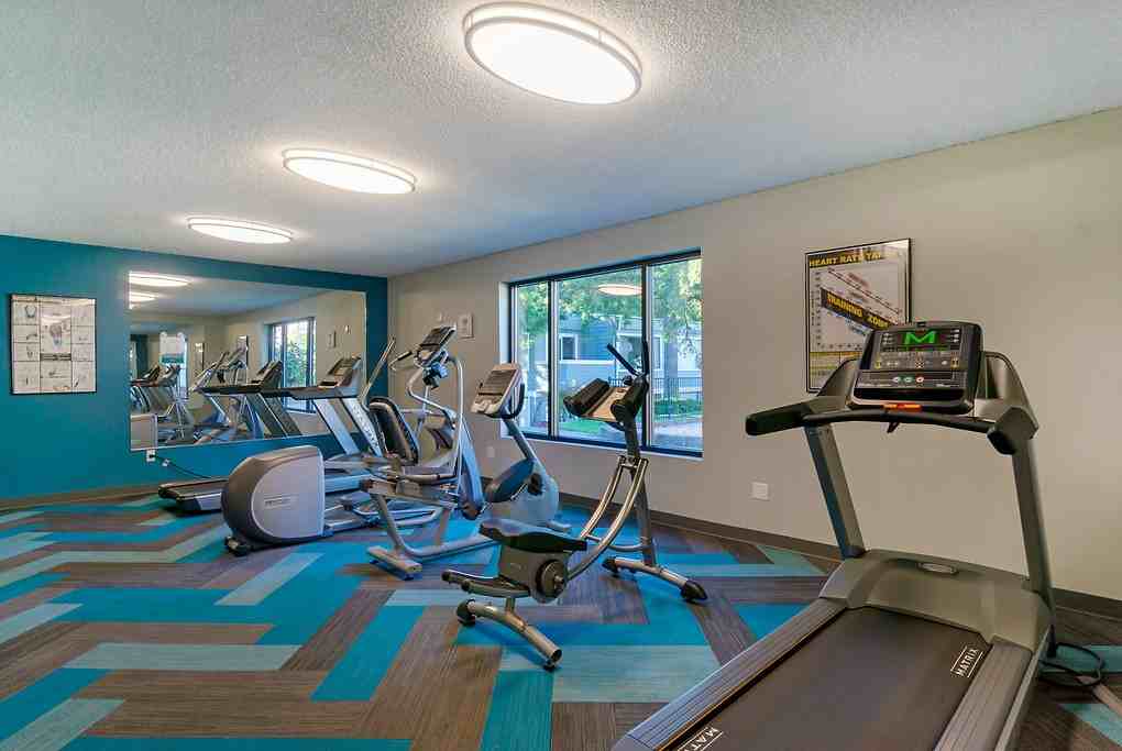 Palisades - Photo 4 of 35