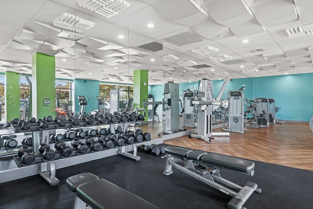 The Plaza - Photo 5 of 50