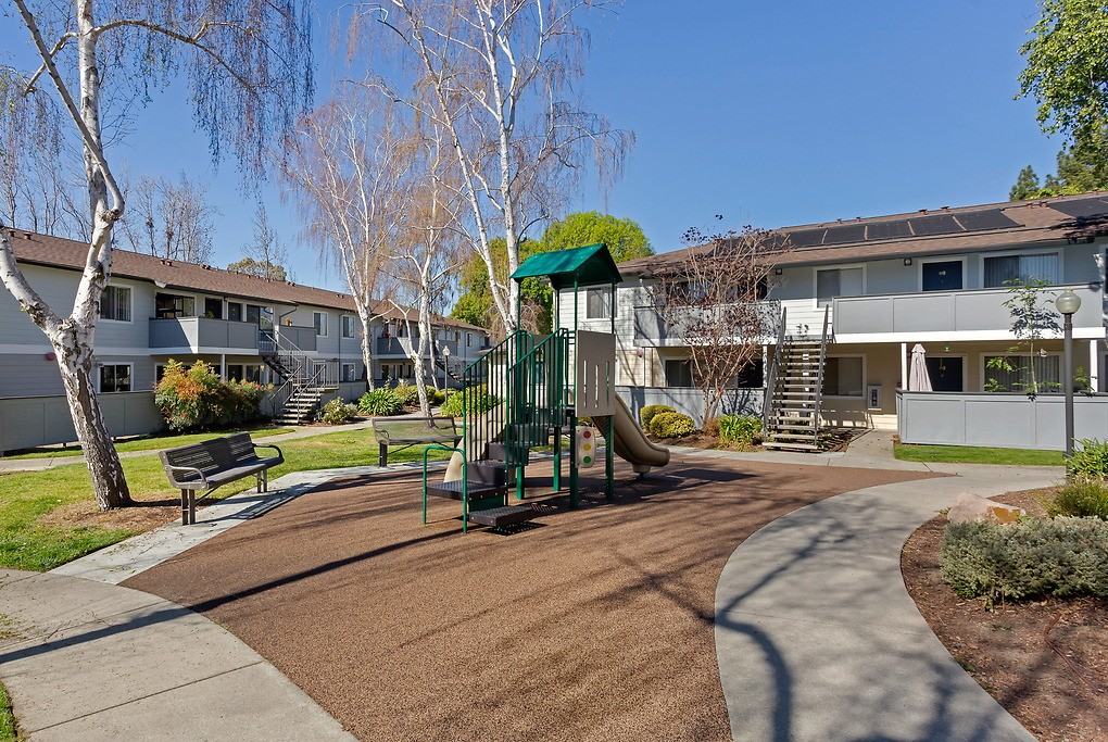 The Woods - Photo 2 of 31