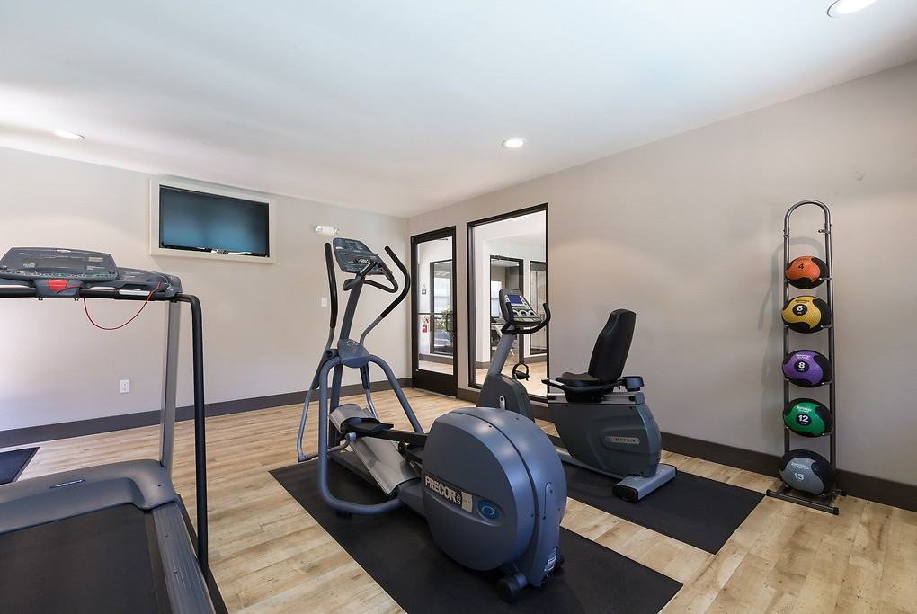 The Woods - Photo 4 of 31